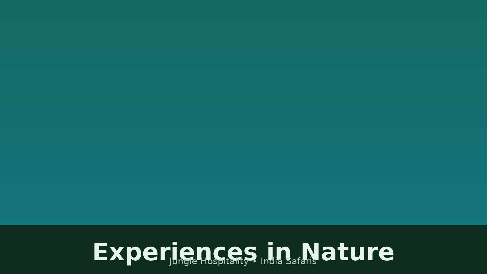 experiences